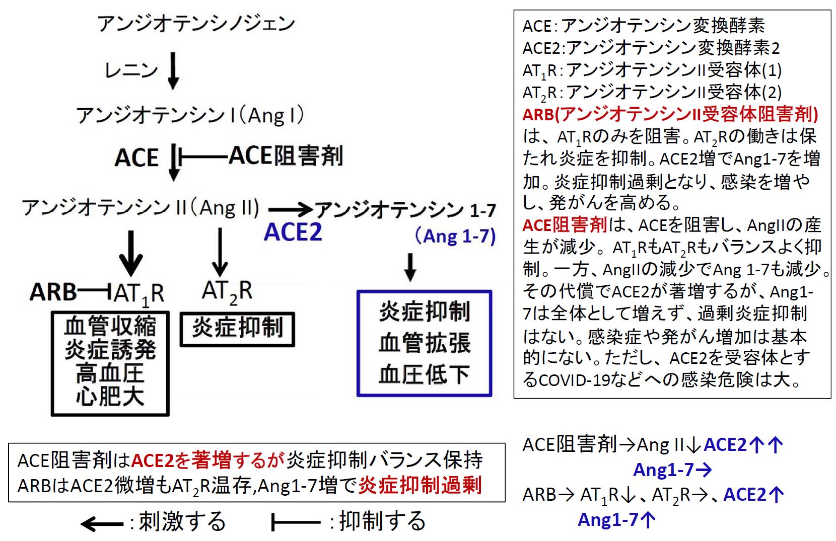 図5