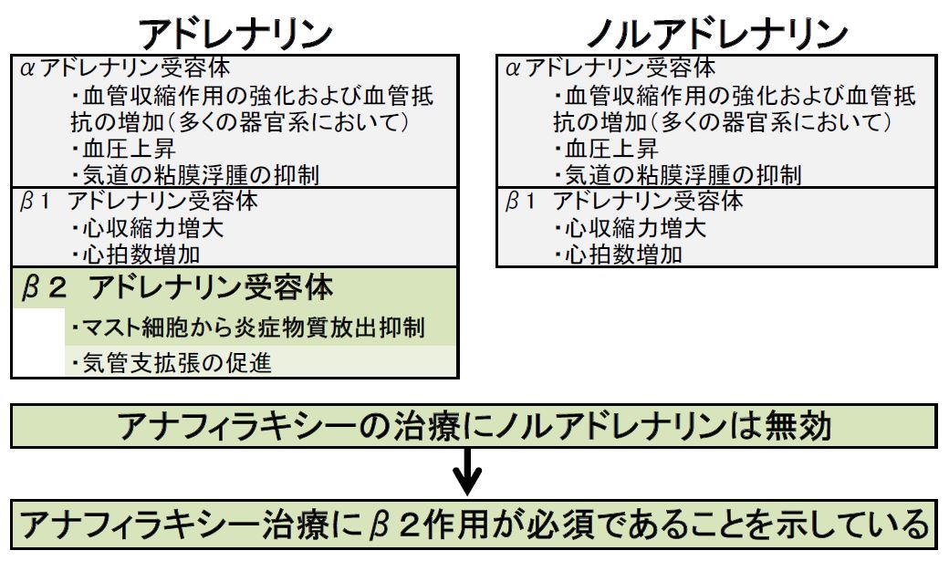 図２