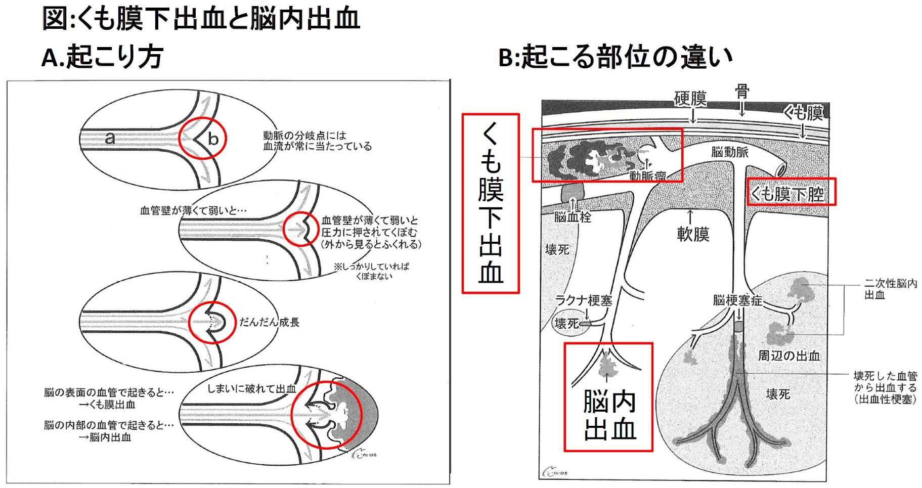 図