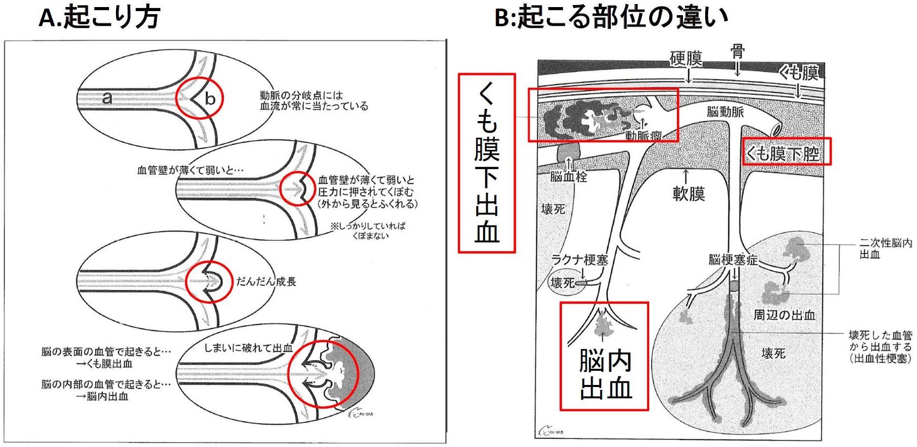 図