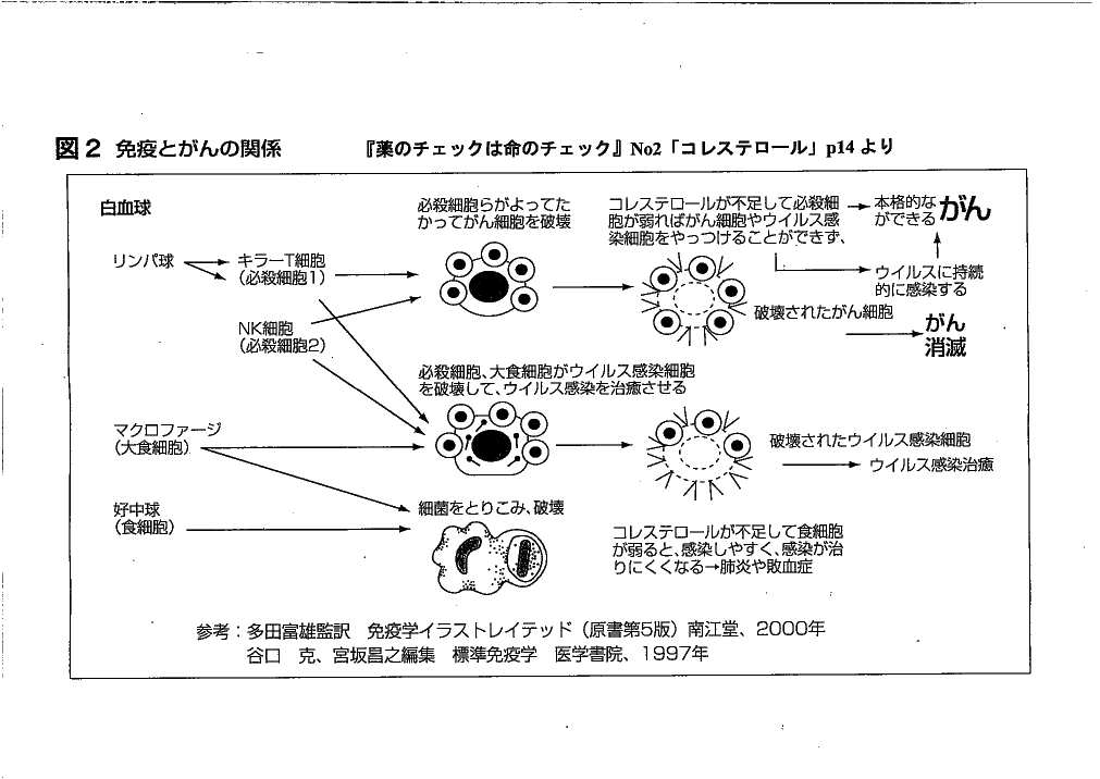 図２