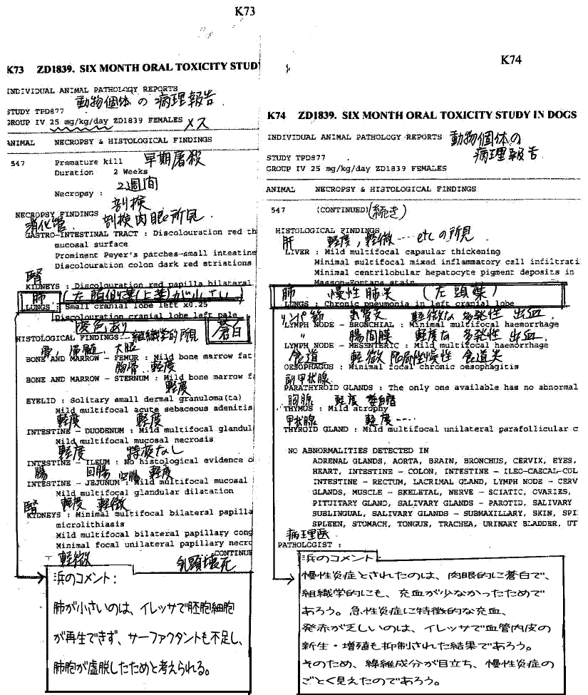 動物実験肺炎